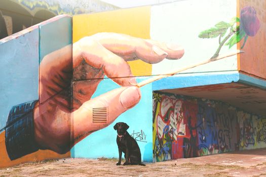 Unleash Creativity: Dive into Czechia's Thriving Community Art Scene